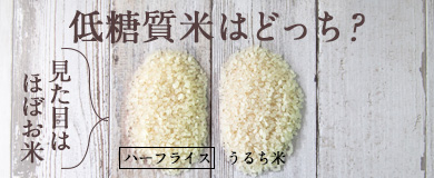 低糖質米はどっち？