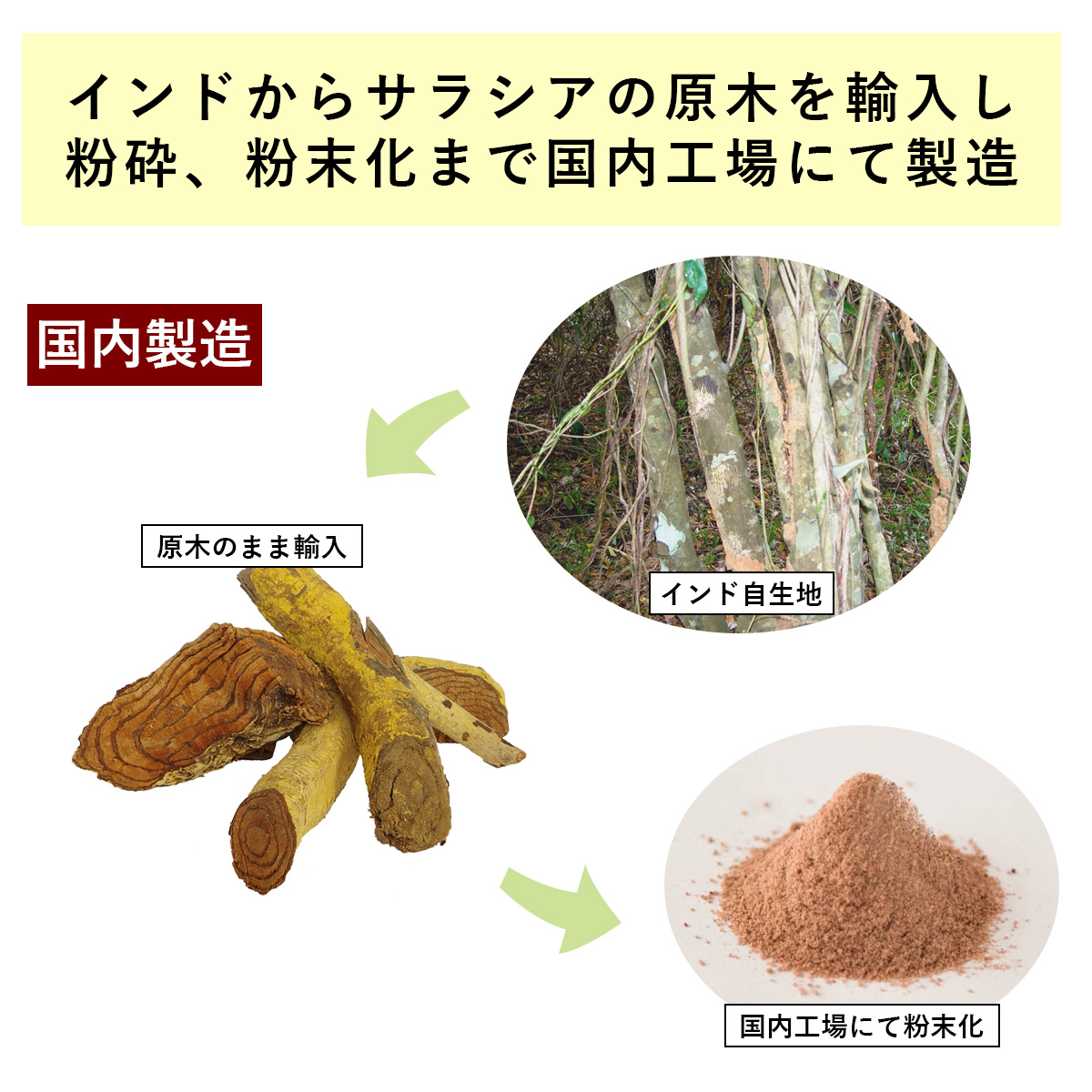 インドからサラシアの原木を輸入し粉砕、粉末化まで国内工場にて製造国内製造インド自生地→原木のまま輸入→国内工場にて粉末化
