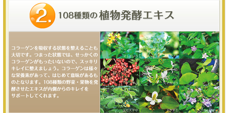 2 108種類の植物発酵エキス